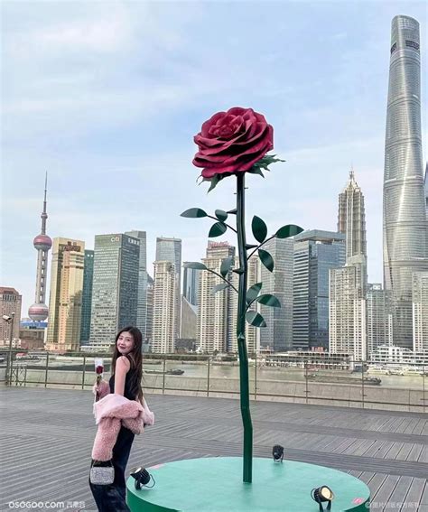 巨型玫瑰花雕塑美陈|资源-元素谷(OSOGOO)