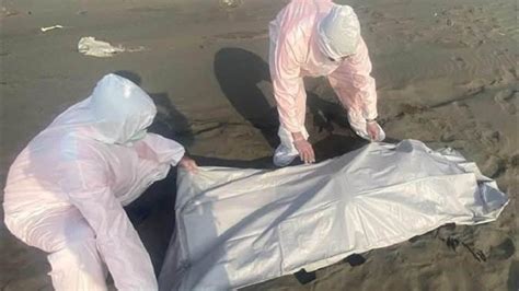 台媒称台湾西部沿海现“浮尸潮”：一个月发现20具遗体_凤凰网