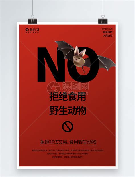 拒绝食野生动物公益海报模板素材-正版图片401691464-摄图网