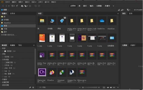 Adobe Bridge 2020 v10.1.1 文件管理器 直装版 - 软件SOS