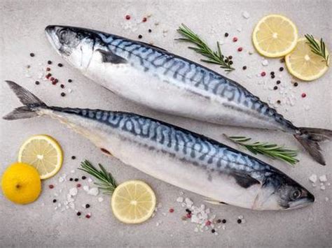 阿特卡鲭鱼阿拉斯加六线鱼,中国菜系,食品餐饮,摄影素材,汇图网www.huitu.com