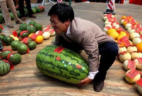 中国古代有西瓜吃吗，西瓜是什么时候传入中原的..._契丹