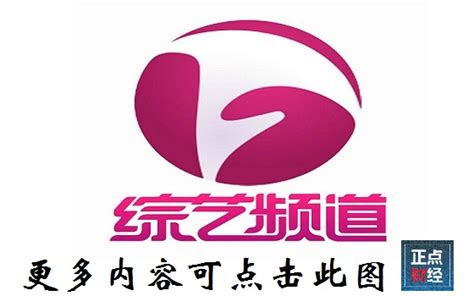 四川广播电视台公共•乡村频道：在频道专业化道路上转型升级_节目