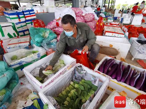 抗疫保供 | 记者探访儋州公益性农产品批发市场：保供“最后一公里”这样打通