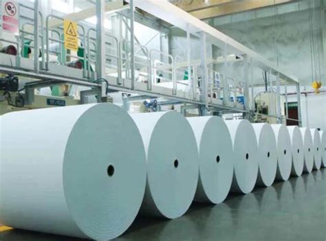 中国造纸协会： 2022年度中国造纸工业报告 | 先导研报
