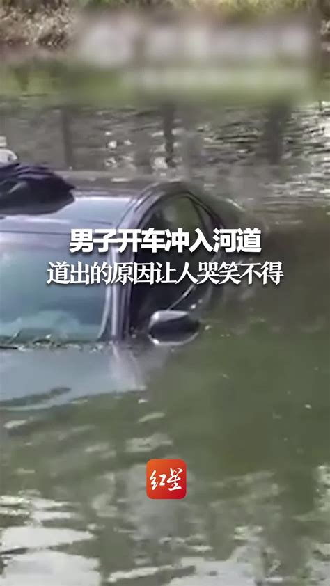 男子开车冲入河道 道出的原因让人哭笑不得_凤凰网视频_凤凰网