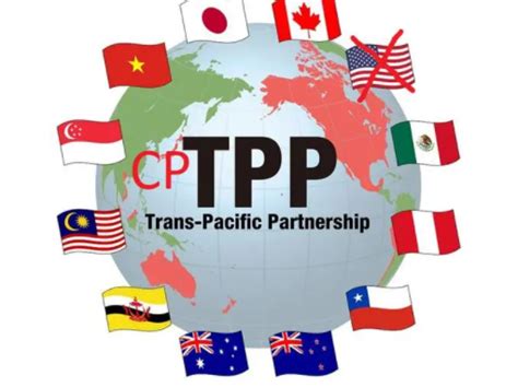 CPTPP是什么组织 加入CPTPP有哪些影响 _八宝网