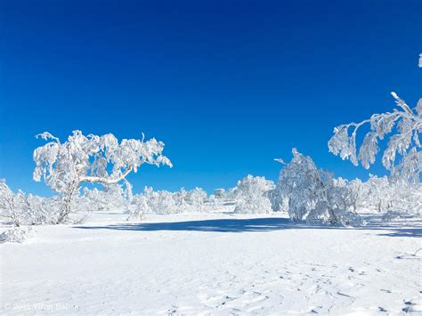 最美的雪花飘落吉林 | 中国国家地理网