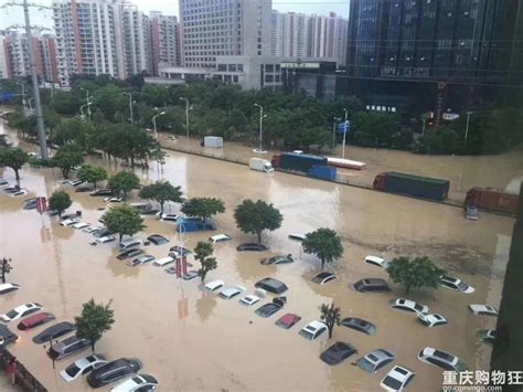 遭遇历史最大洪水，这座城市如何做到不落下一人？-宁夏新闻网