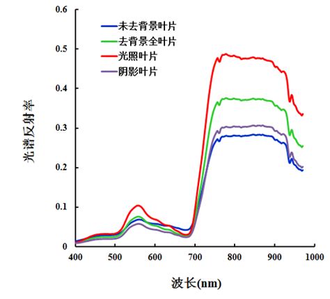 紫外可见光谱分析实验报告,紫外可见吸收光谱分析.ppt