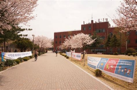 韩国梨花女子大学-安阳工学院国际教育学院
