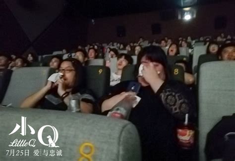 电影《小Q》提档7月25日_杭州网娱乐频道