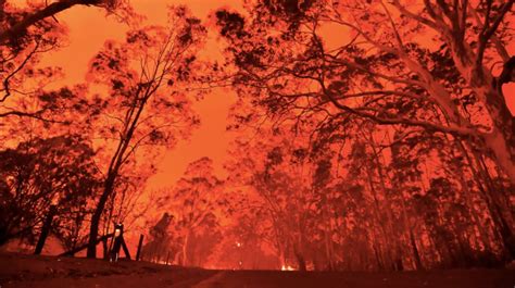 澳大利亚世界自然遗产岛屿遭山火侵袭，至今仍未被扑灭_凤凰网视频_凤凰网