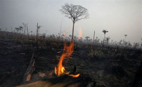 俯瞰亚马逊雨林火灾 持续三周大火宛如地狱_新浪图片