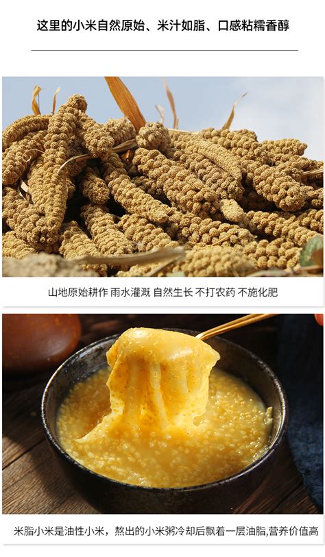 陕北油小米老品种香谷米新米延安黄小米月子米宝宝米煮粥软糯粘稠-阿里巴巴