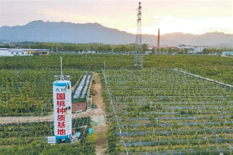 平谷今年将打造农业科技创新区_科技创新_首都之窗_北京市人民政府门户网站