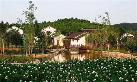上海南汇农家乐图册_360百科