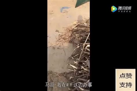 北京朝阳大屯里小区高空抛物现象严重 粪便垃圾从天而降