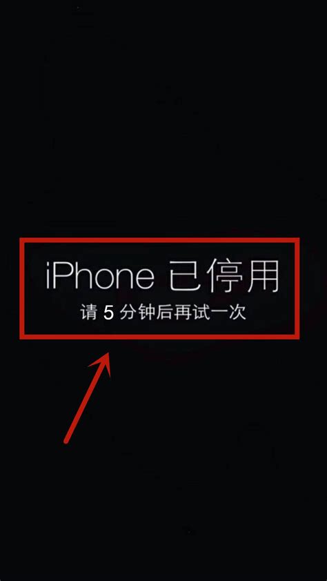 如果你看到“iPhone 不可用”/“iPad 不可用”信息或“安全锁定”屏幕_外来者网_Wailaizhe.COM