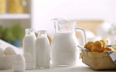 羊奶有什么作用与功效（羊奶和牛奶哪个好）_玉环网