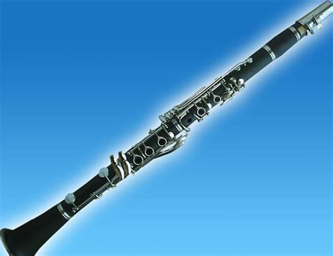 单簧管演奏视频-单簧管表演视频欣赏 - 乐器学习网