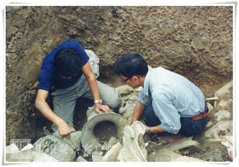 三星堆最新考古（上）等待解读的青铜时代密码 | 中国国家地理网