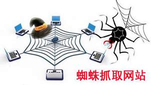 百度蜘蛛软件下载_百度蜘蛛应用软件【专题】-华军软件园