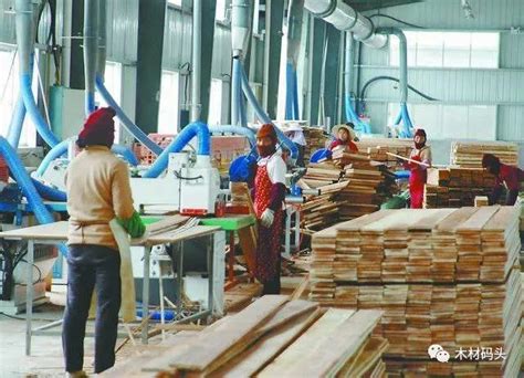 广西崇左宁明县2022年木材企业产值约35亿元_行业新闻_资讯_整木网