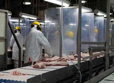 加拿大企业停止对华猪肉出口_华夏智能网