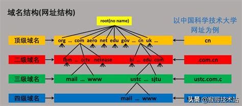 什么是网站域名？网站名称、URL又是什么？_华军软件园