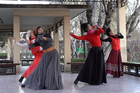 藏族舞蹈《牧羊姑娘》