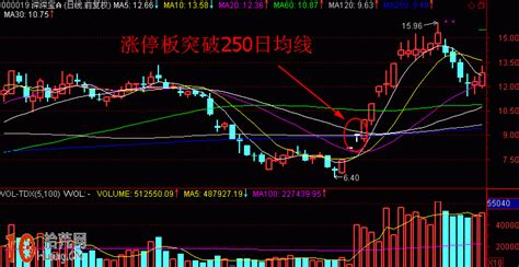 中国股市：最稳的250日均线——牛熊转换定大势！看完涨见识！ - 股市 - 射线网