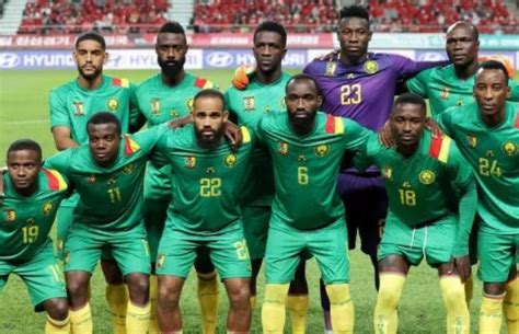 2022世界杯瑞士vs喀麦隆谁会赢-瑞士vs喀麦隆比分预测-趣丁网