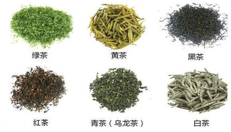 茶知识：四种名茶的鉴赏,四川纳溪特早茶有限公司,中国特早茶,早春二月,茶叶招商加盟