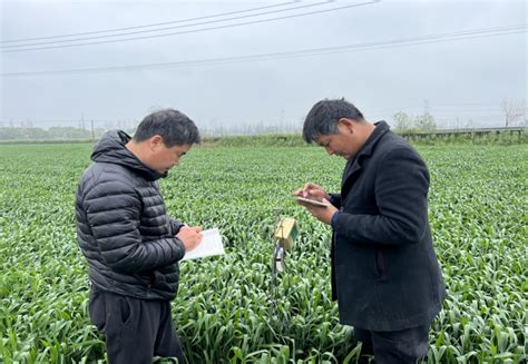 县农业农村局：努力让农技干部成为科技示范户的“贴心人”_舒城县人民政府