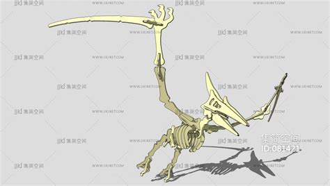 巨型翼龙：白垩纪死亡之翼 | 中国国家地理网