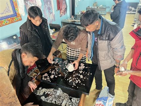 重庆创业导师“组队”赴西藏昌都 “面对面”为创业项目把脉问诊 - 重庆日报网