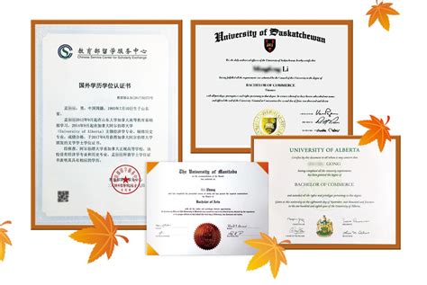 通过该项目获得国外大学的学位证书回国后可以学历认证吗 ...