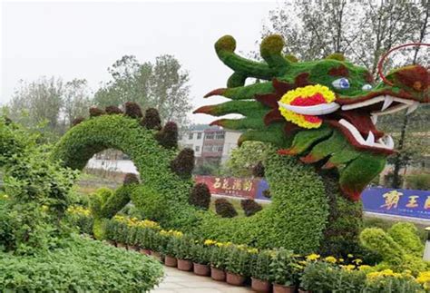 晋城五色草造型，立体花坛造型设计、制作——开封市丰禾农业发展有限公司