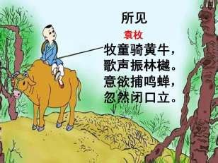 所见袁枚古诗表达诗意-搜狐大视野-搜狐新闻