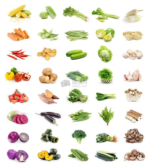 蔬菜的种类名称和图片,100种蔬菜名称_大山谷图库