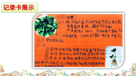 何捷老师三年级下册《我的植物朋友》_腾讯视频