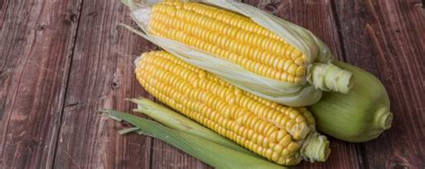 玉米的起源与传播的路径。