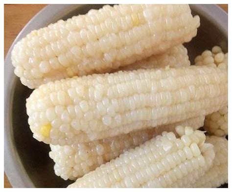 中国哪个朝代的人能吃到玉米（玉米造就了康乾盛世？玉米是什么时候，从哪里来到了中国？） | 说明书网