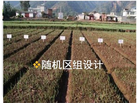 全面推进农业科技“五五"工程第7期-咸宁市农业科学院