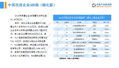 平湖市上市公司排名-莎普爱思上榜(产品饱受认可)-排行榜123网