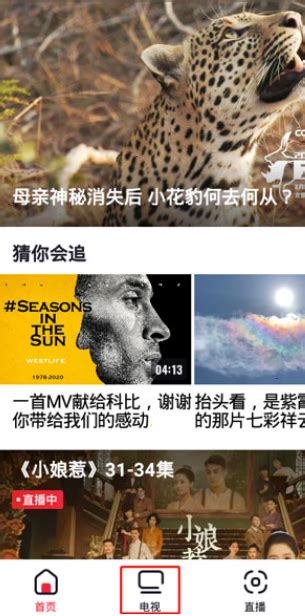 湖南卫视app下载-湖南卫视在线直播手机版下载v3.5.5 安卓版-单机100网