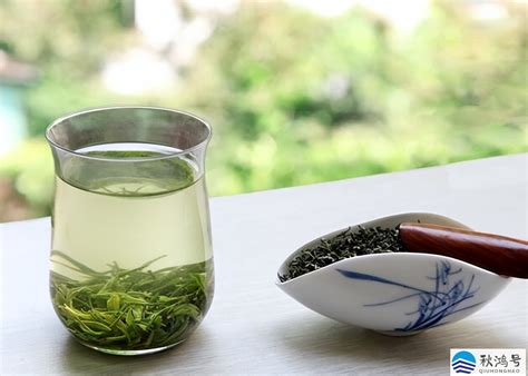 2023年国产绿茶十大品牌排行榜-国产绿茶哪个牌子好-排行榜123网