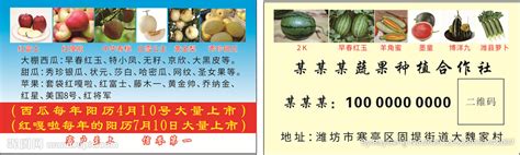 蔬果种植合作社设计图__名片卡片_广告设计_设计图库_昵图网nipic.com