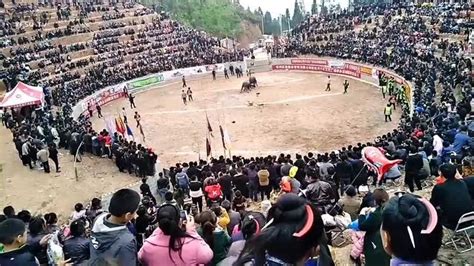 贵州黔东南据说是万人斗牛场观看一场斗牛比赛可很幸福_腾讯视频